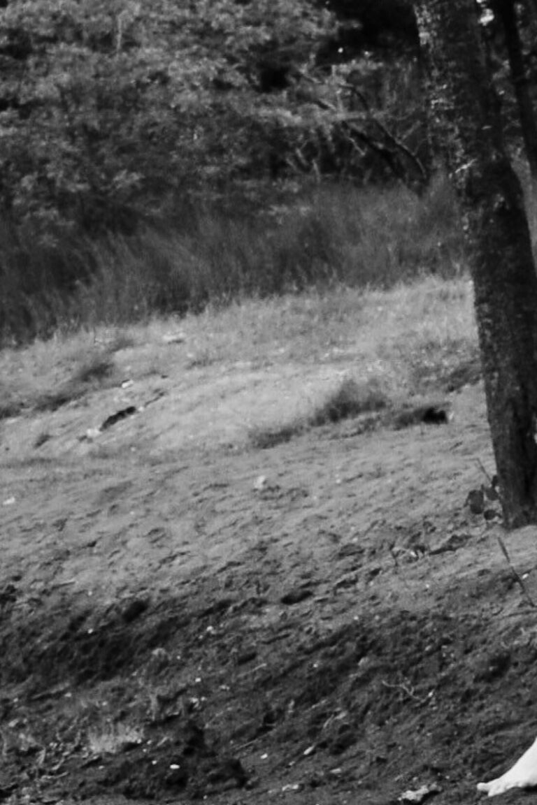 sad bride sitting on riverbank barefoot